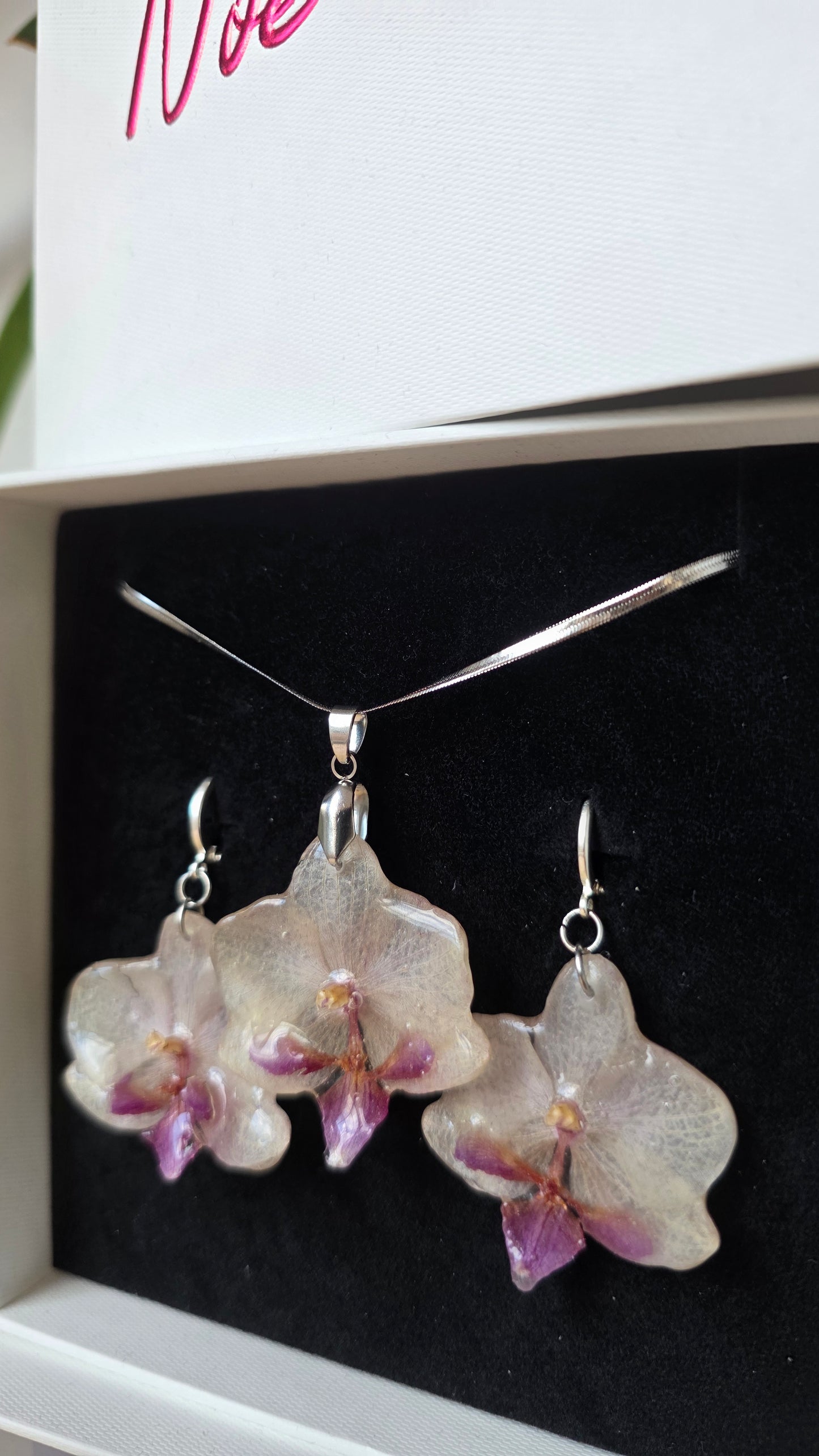 Conjunto orquidea Phalaenopsis