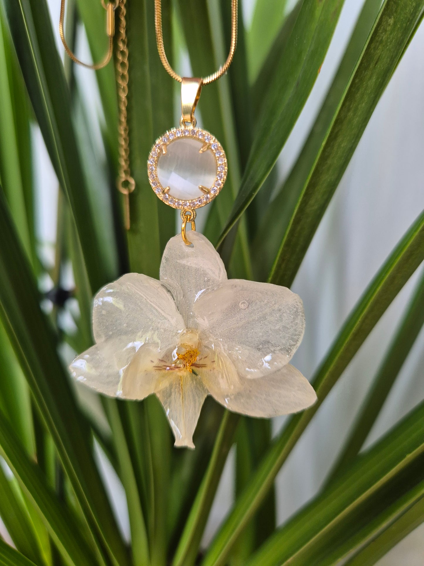Colgante orquidea Phalaenopsis