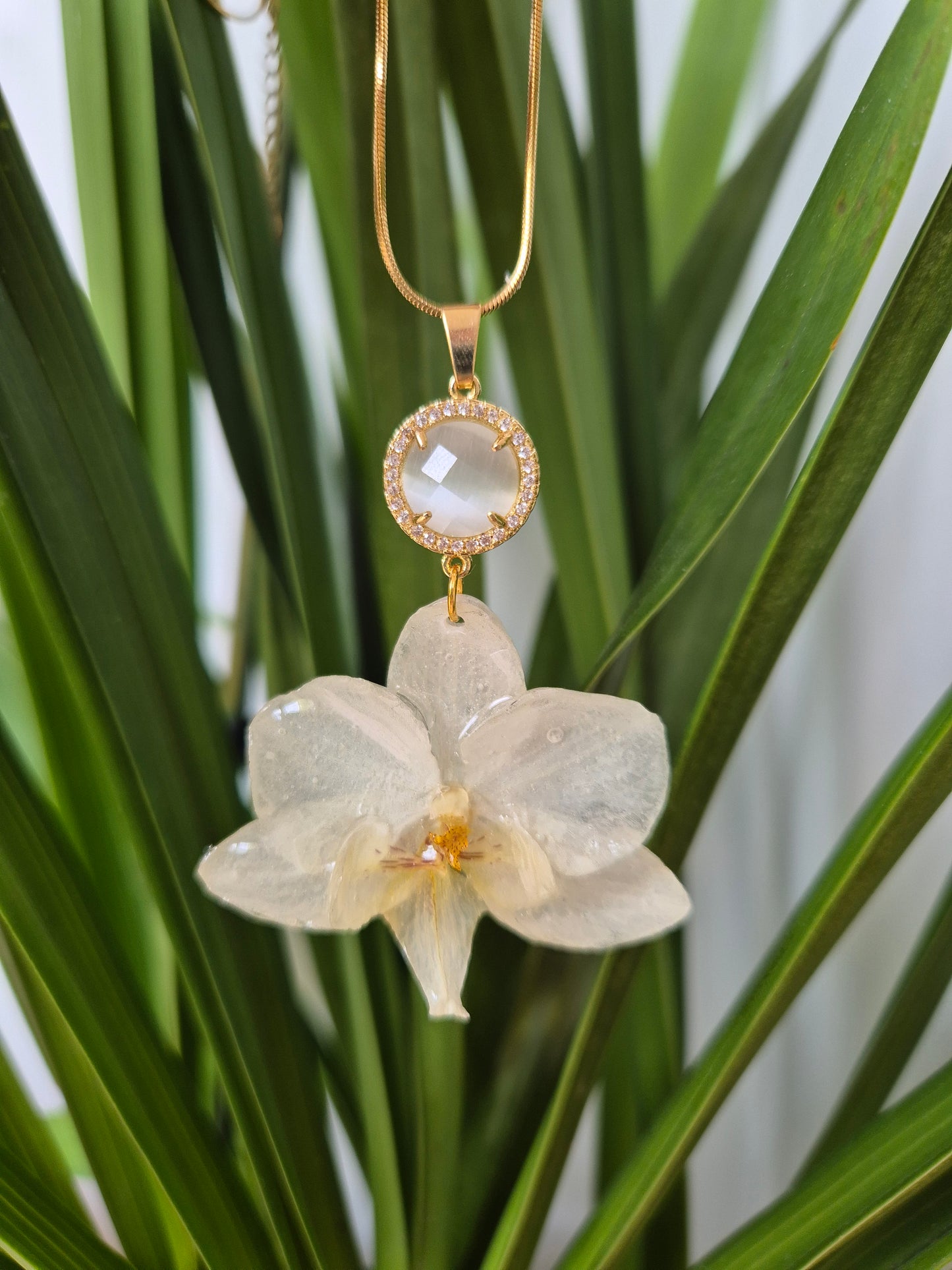 Colgante orquidea Phalaenopsis