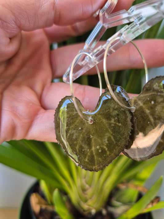 Pendientes hoja corazón verde