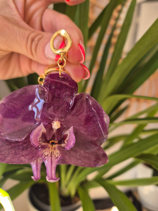 Pendientes orquidea Phalaenopsis