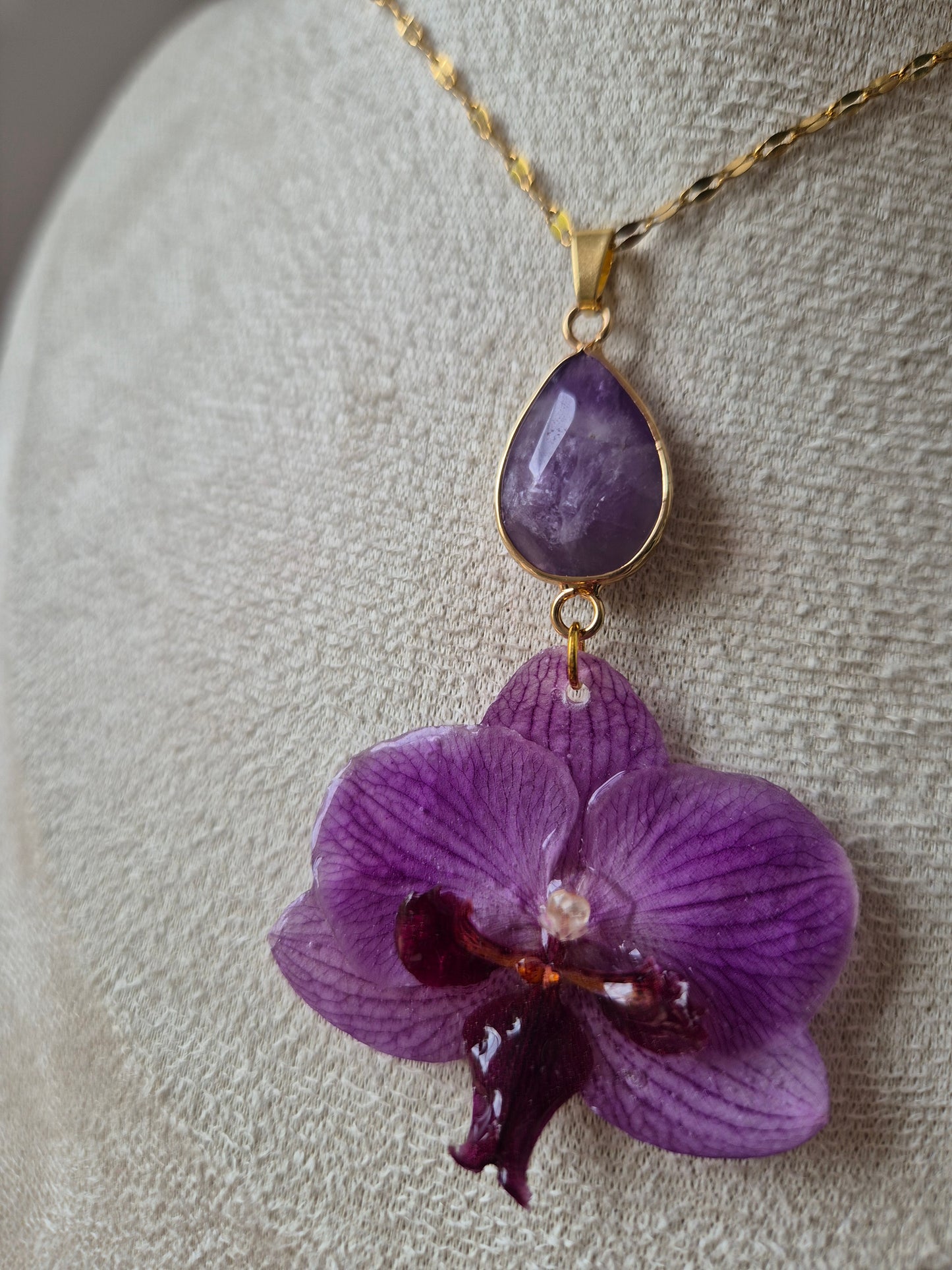 Colgante orquidea Phalaenopsis