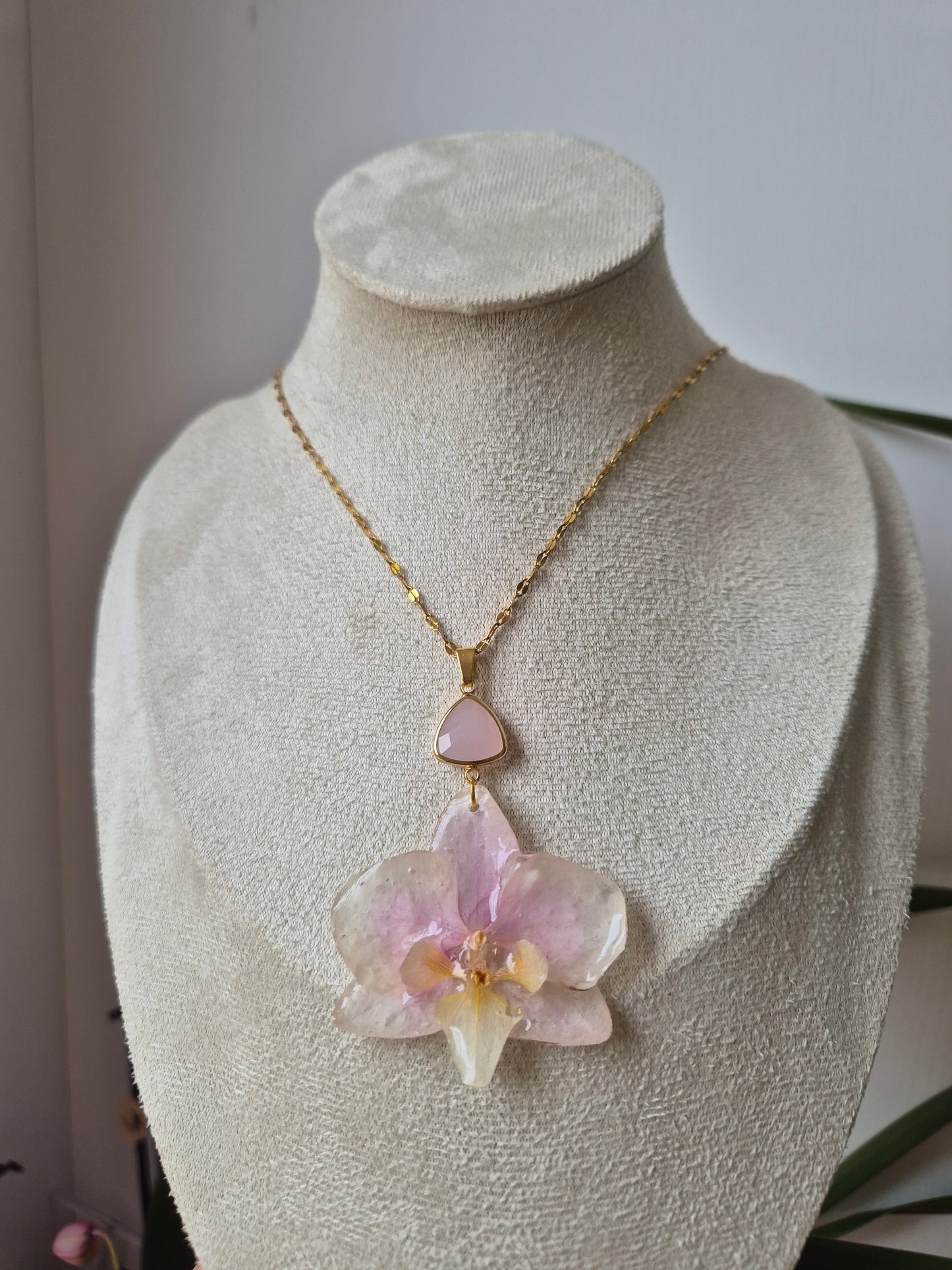 Colgante orquidea Phalaenopsis