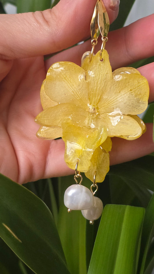 Pendientes orquidea Dendrobium