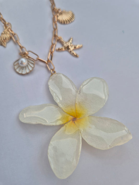 Colgante Plumeria