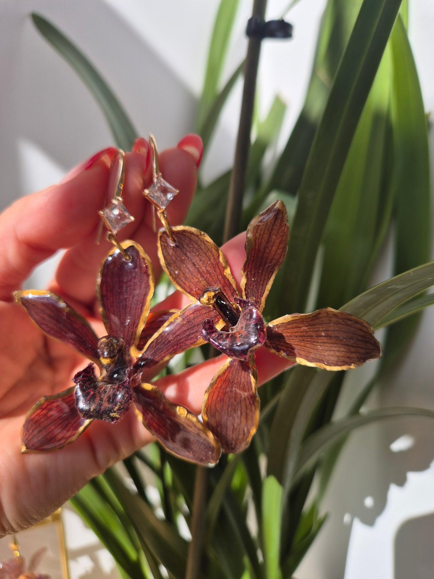 Pendientes orquidea Cymbidium