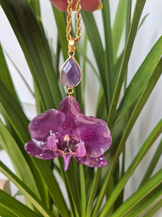 Colgante orquidea Phalaenopsis