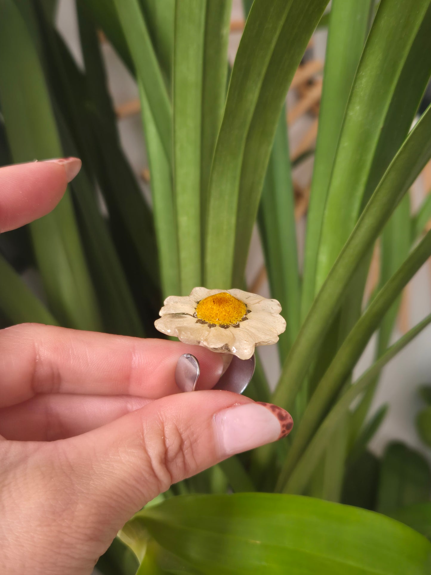 Anillo ajustable margarita