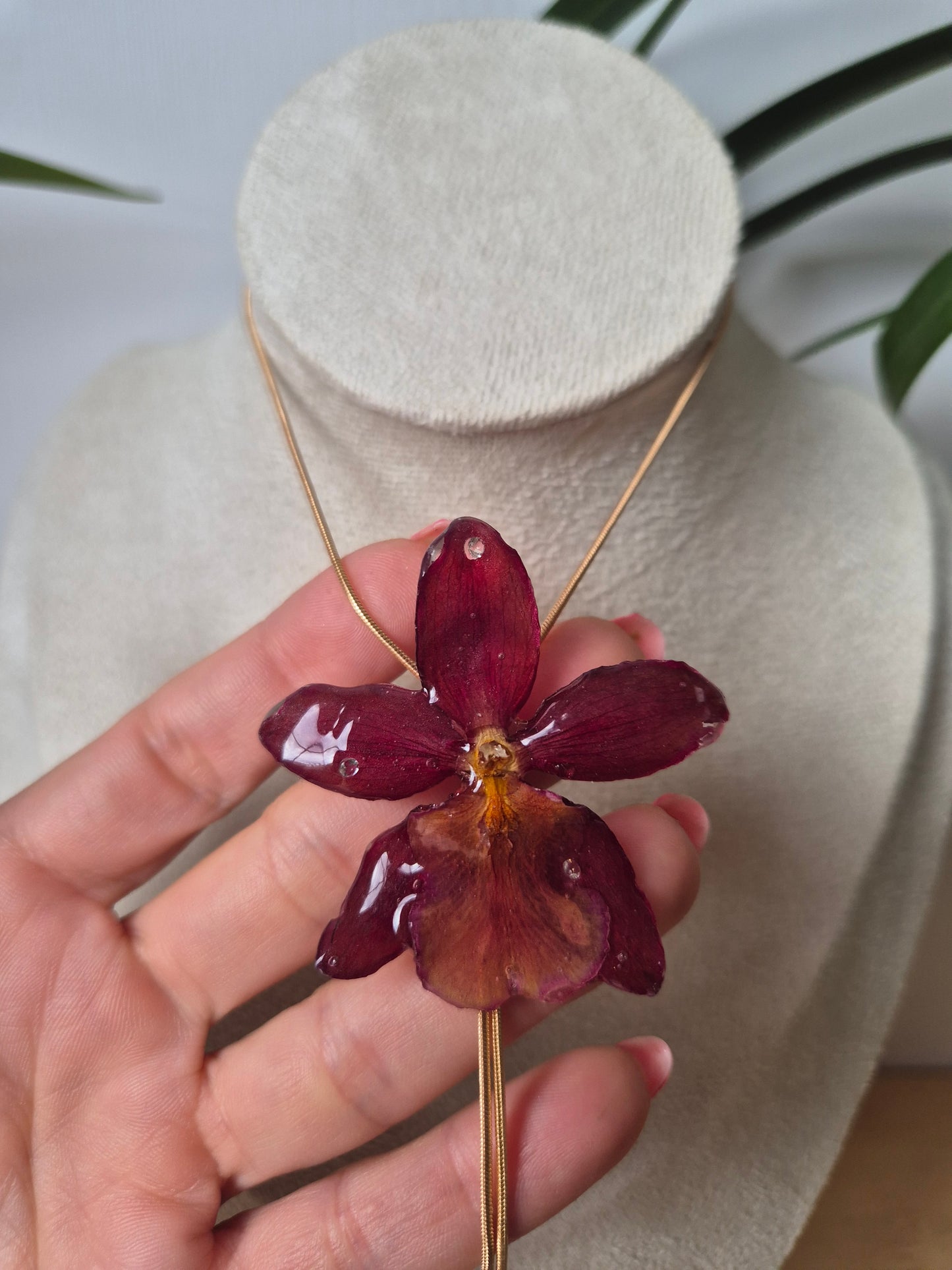 Colgante regulable de orquídea Cambria mini