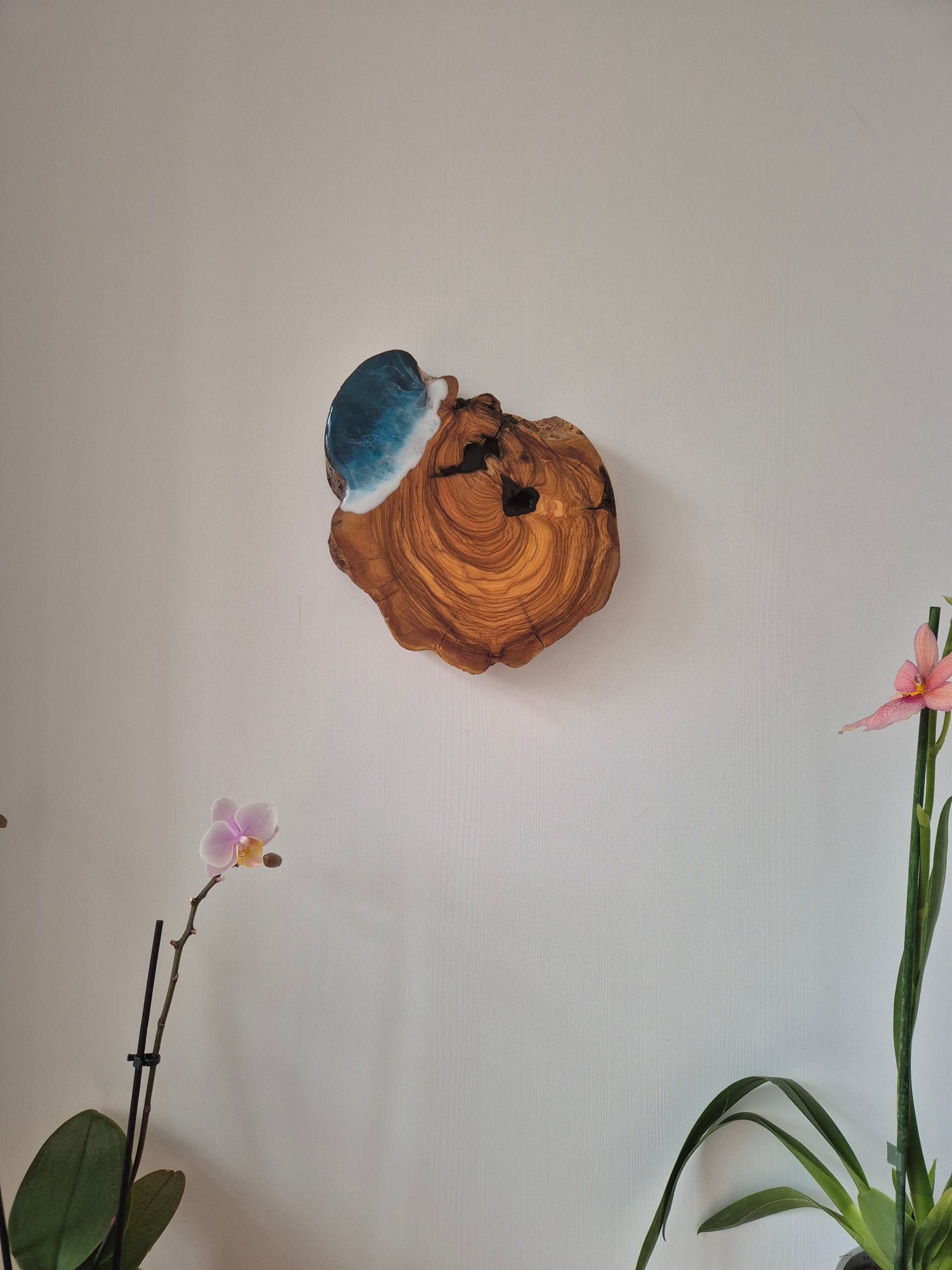 Decoración