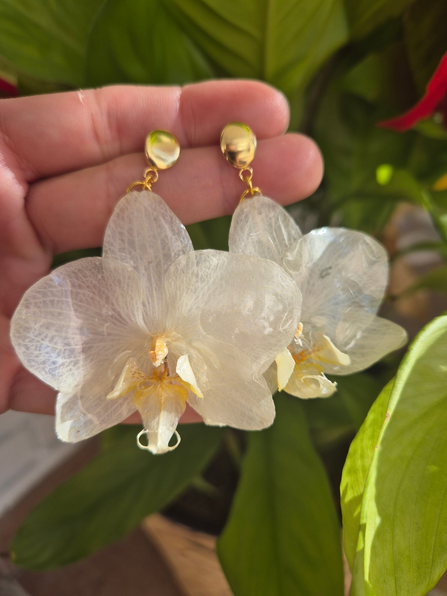 Pendientes orquídea blanca