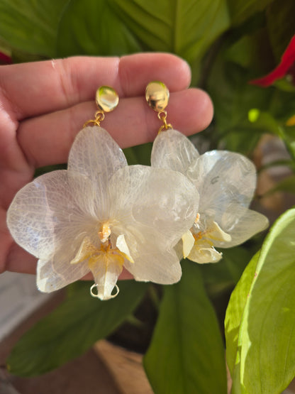 Pendientes orquídea blanca