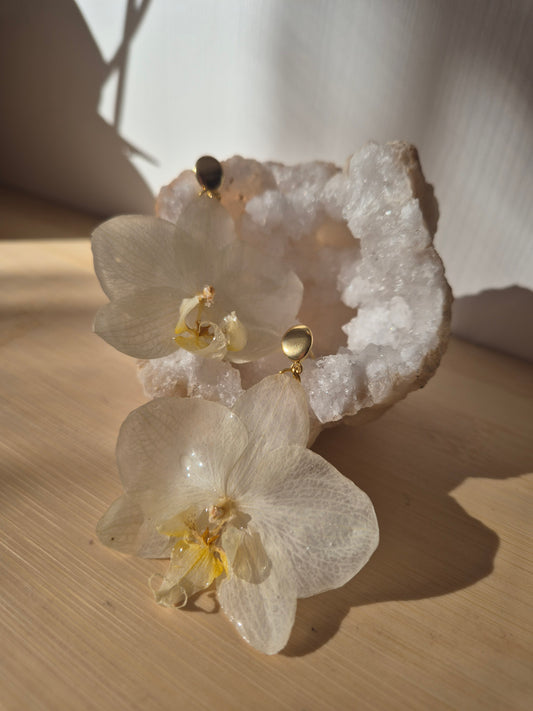 Pendientes orquídea blanca