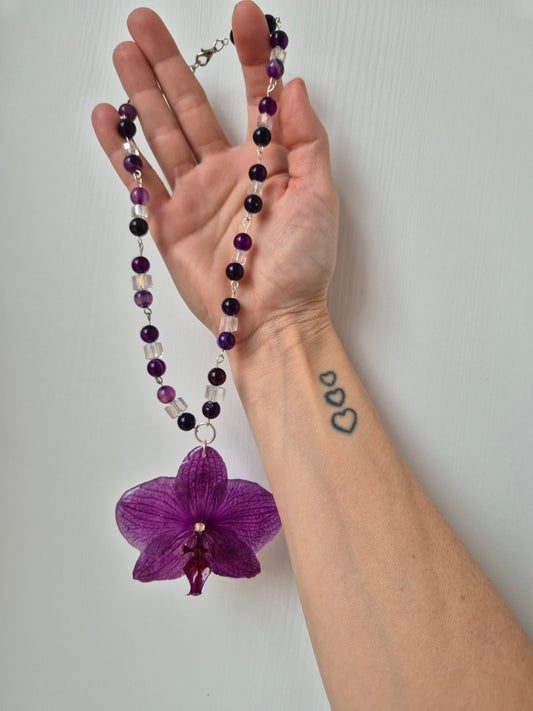 Colgante orquídea  Phalaenopsis morado