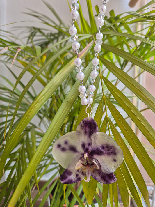 Colgante orquídea