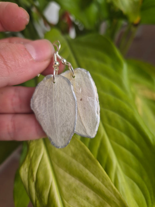 Pendientes pétalo orquídea blanca