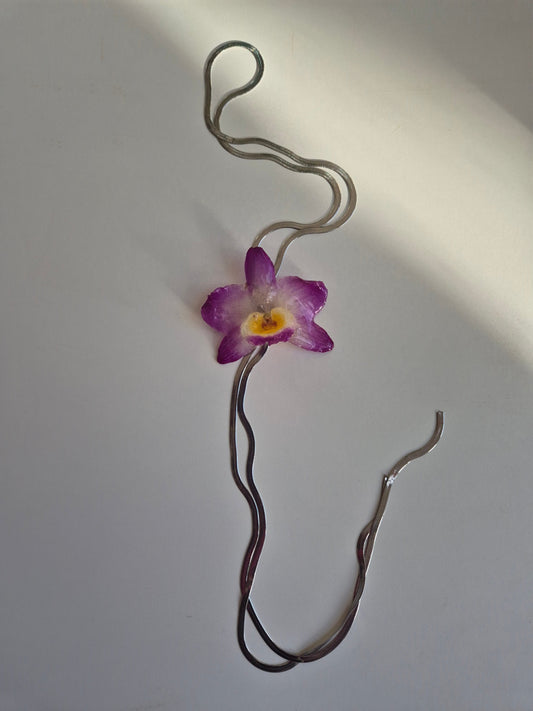 Colgante Orquídea Dendrobium Morado