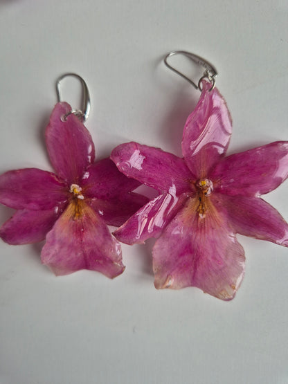 Pendientes orquídea rosa