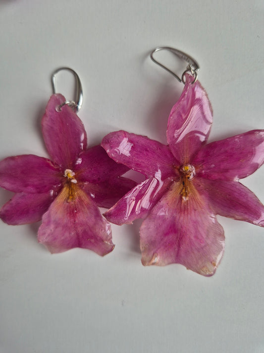 Pendientes orquídea rosa