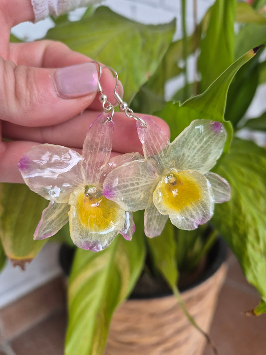 Pendientes orquidea
