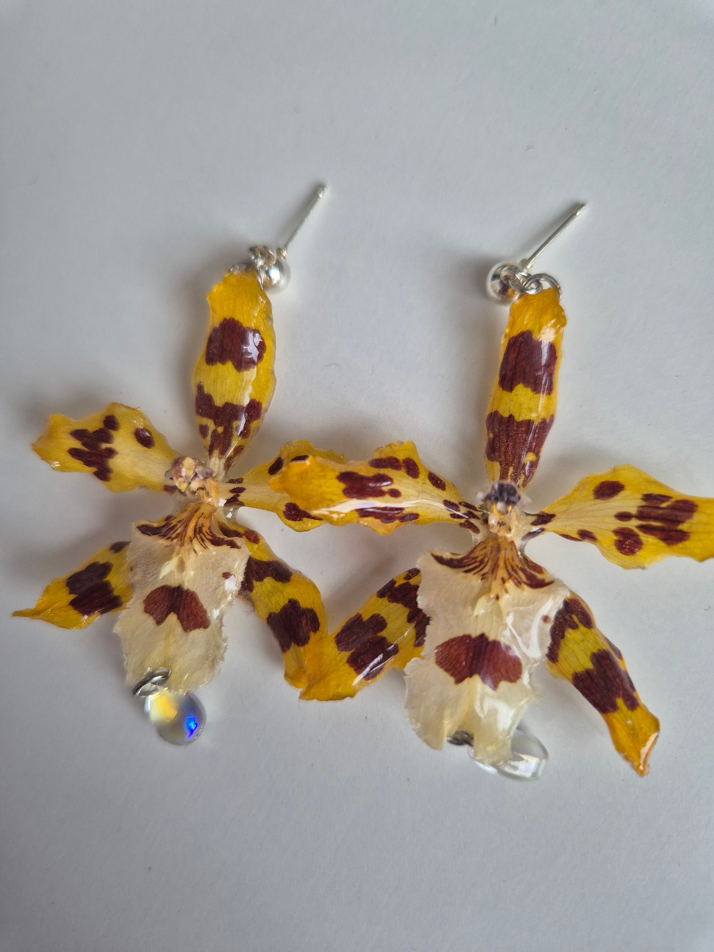 Pendientes orquídea amarilla y marrón