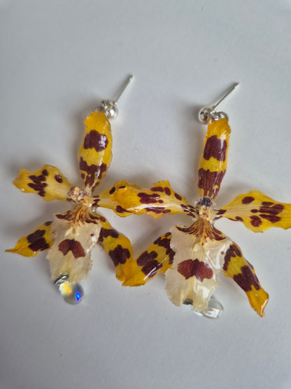 Pendientes orquídea amarilla y marrón