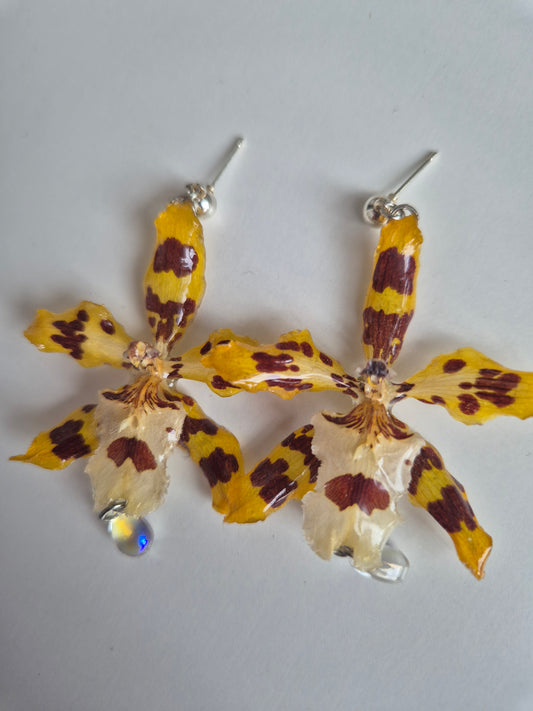 Pendientes orquídea amarilla y marrón