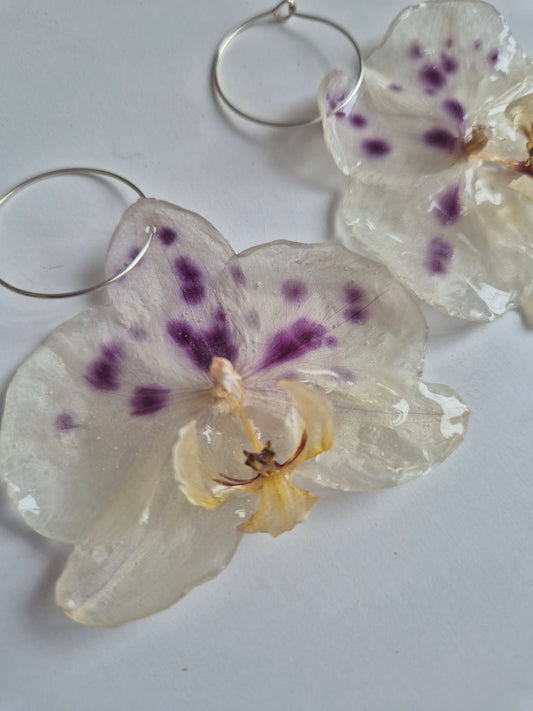 Pendientes orquídea blanco y morado