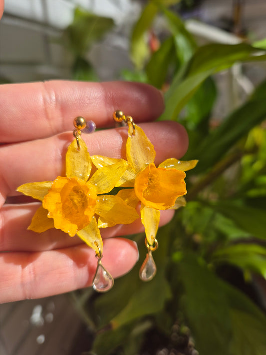 Pendientes Narciso
