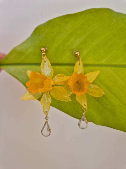 Pendientes Narciso