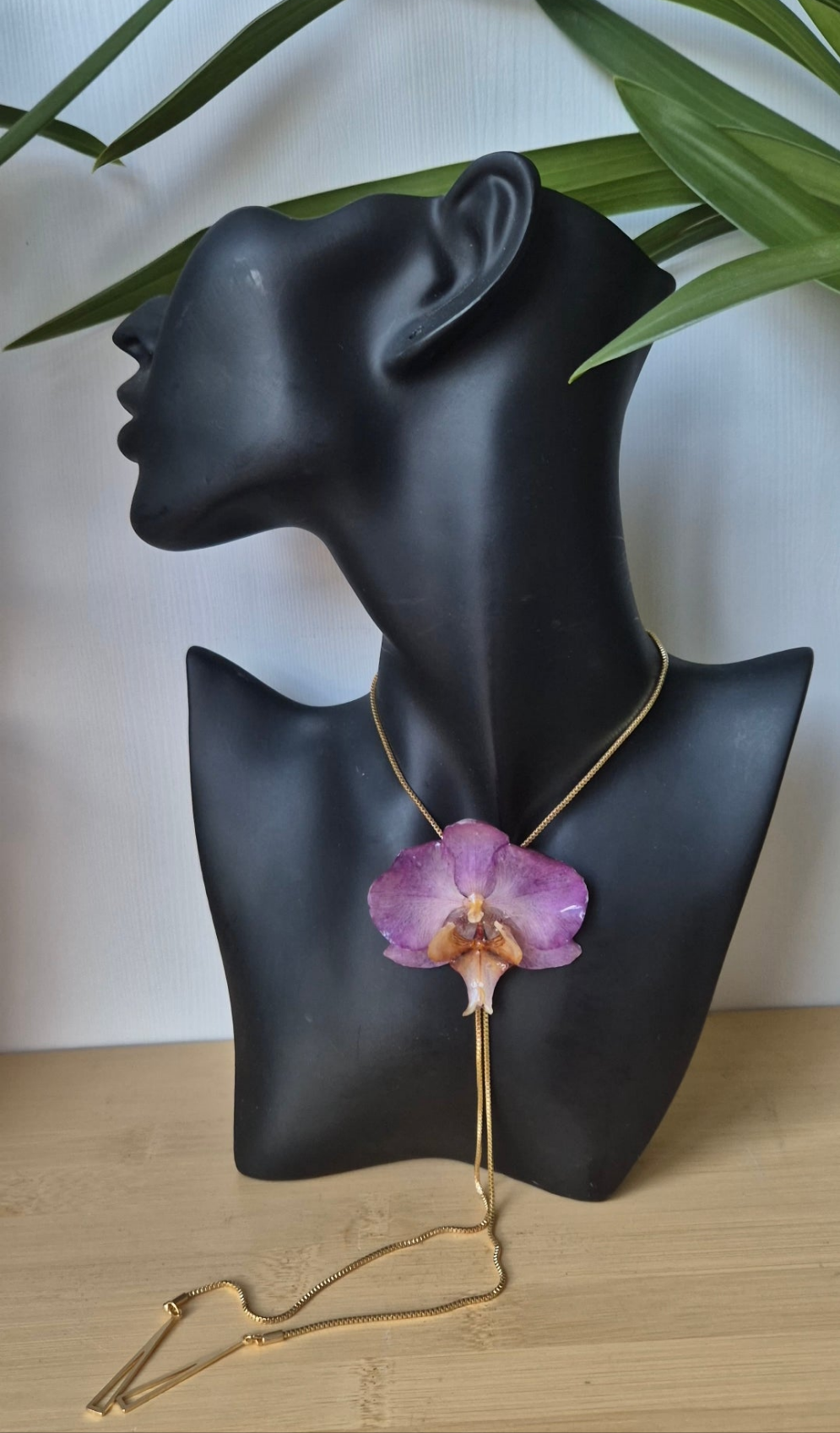 Colgante orquidea Phalaenopsis