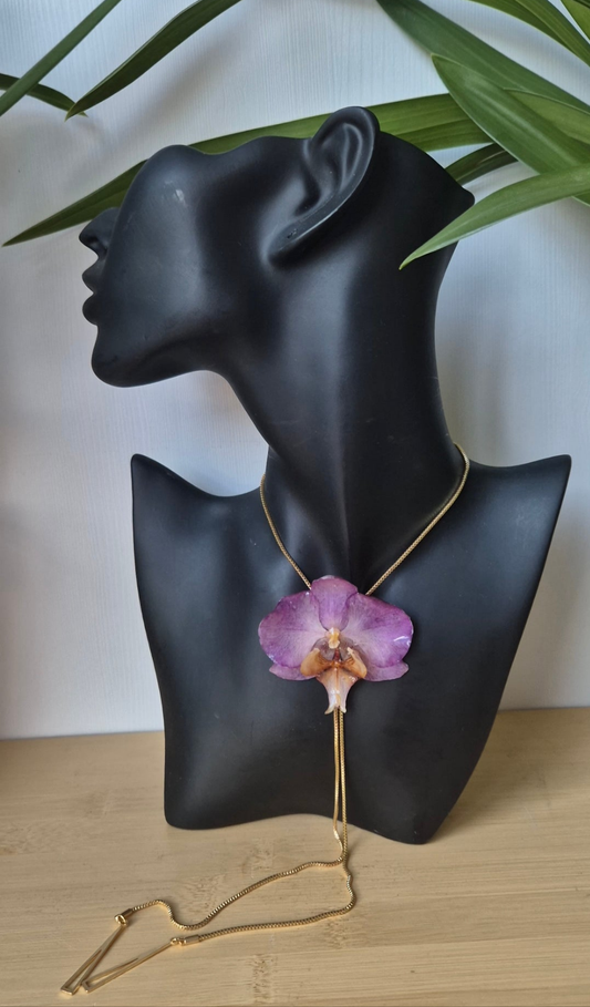 Colgante orquidea Phalaenopsis