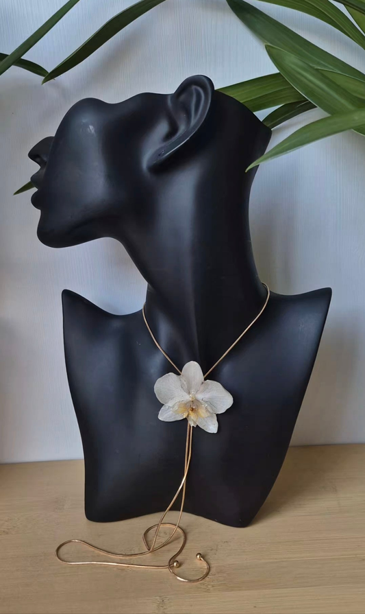 Colgante orquidea Phalaenopsis