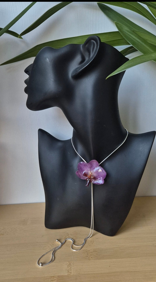 Colgante orquidea Phalaenopsis regulable