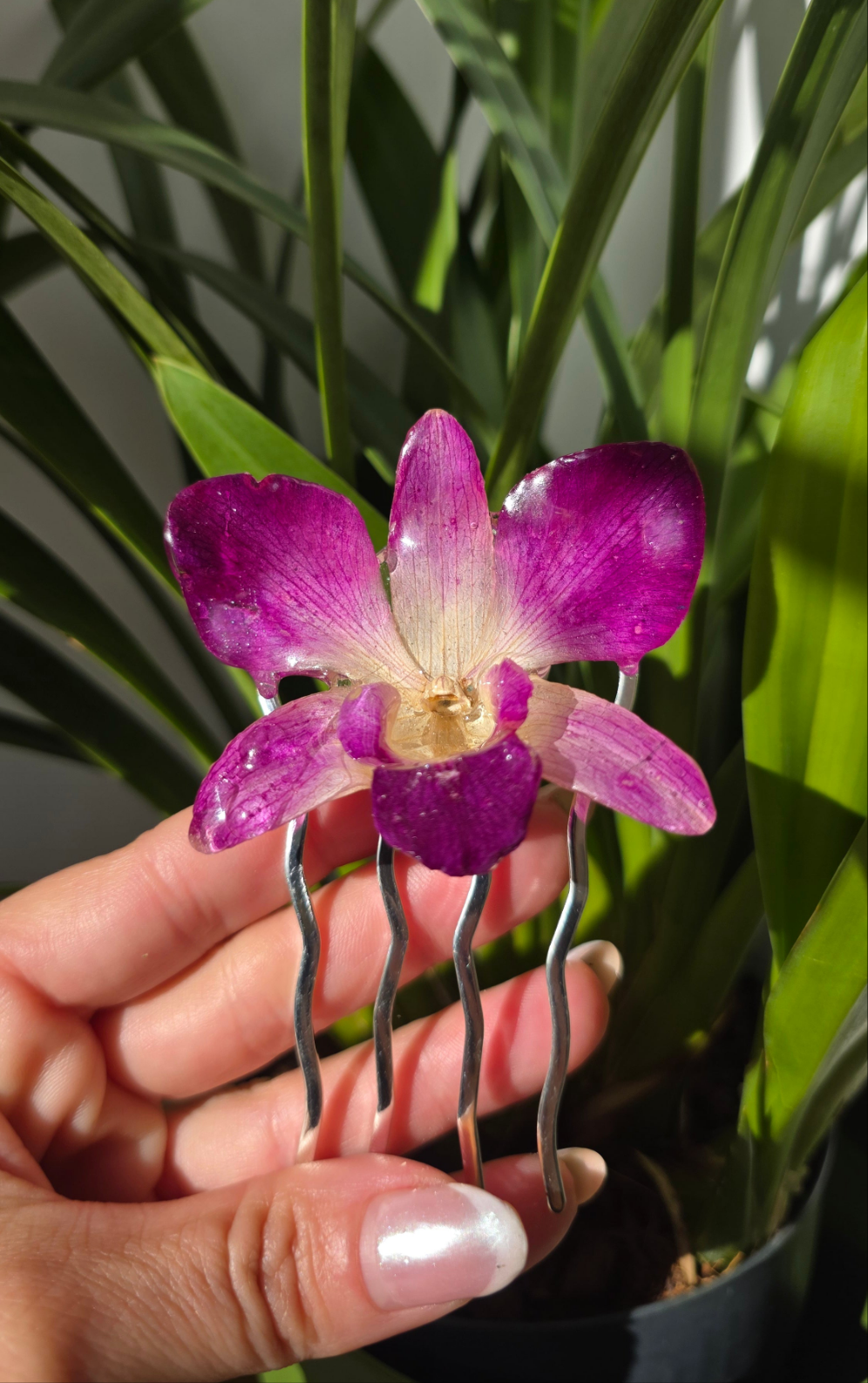 Horquilla de orquidea