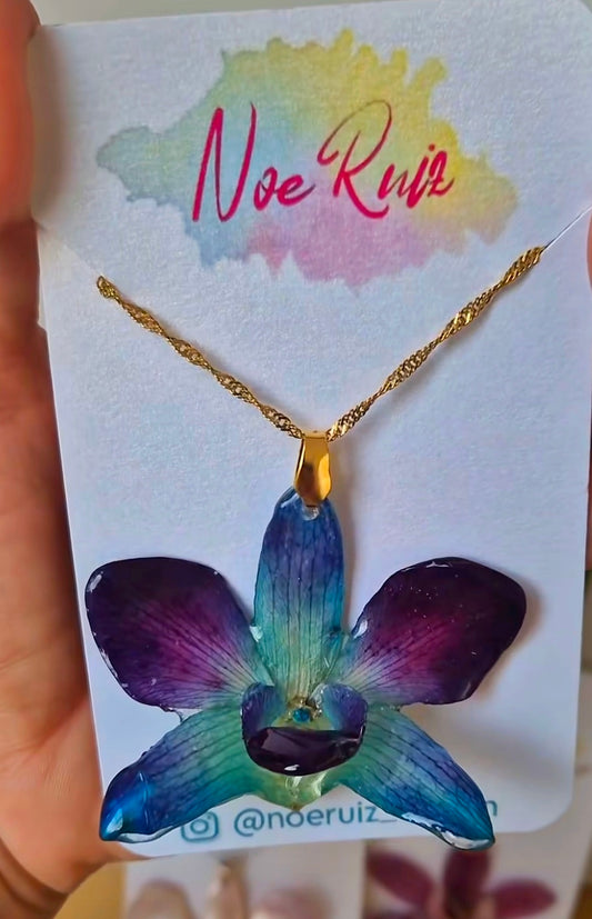 Colgante de orquídea dendrobium