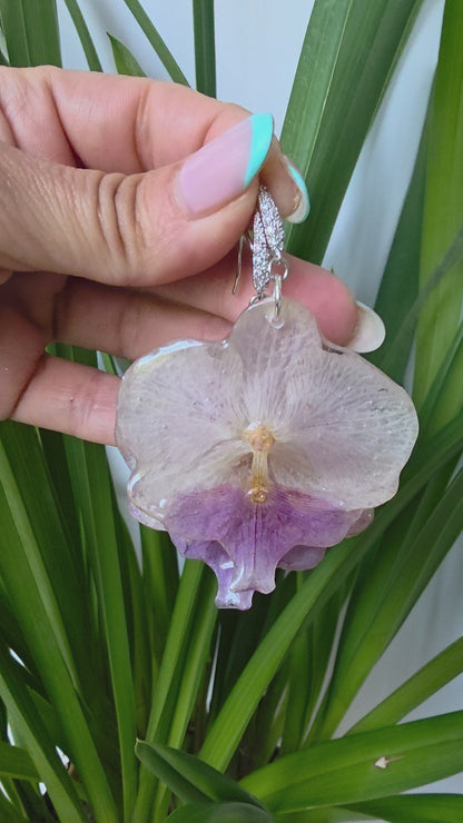 Pendientes orquidea Phalaenopsis