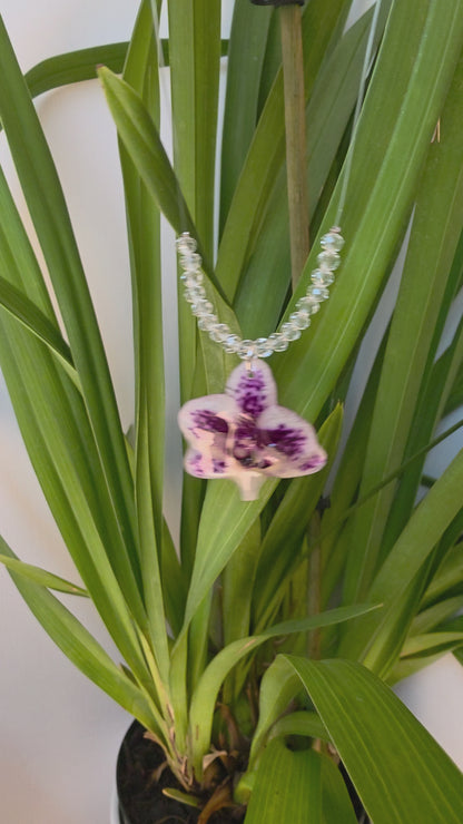 Collar Orquídea Mini Phalaenopsis y destellos