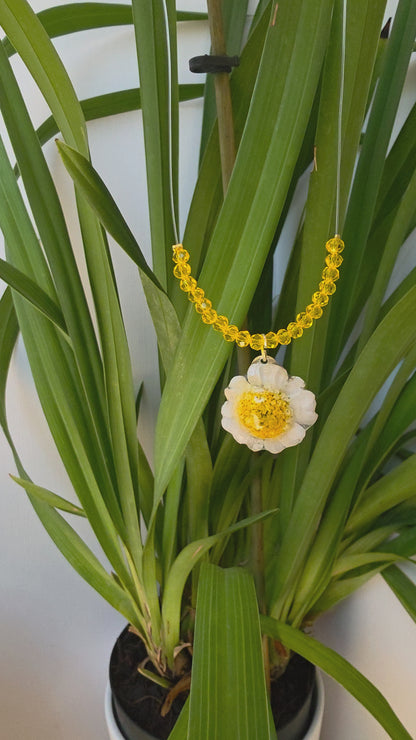 Collar Margarita Silvestre & Destellos Amarillos