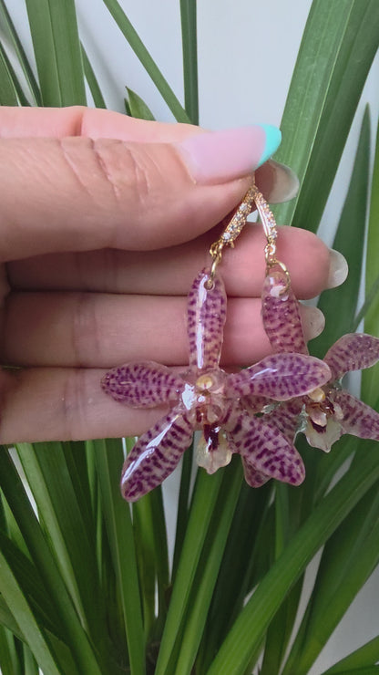 Pendientes orquídea exótica