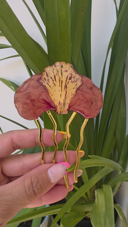 Horquilla Flor Flamboyán