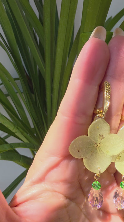 Pendientes de Hortensia