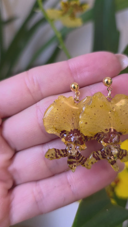 Pendinentes orquidea Oncidium mini