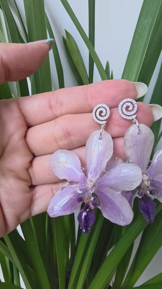 Pendientes orquídea exótica