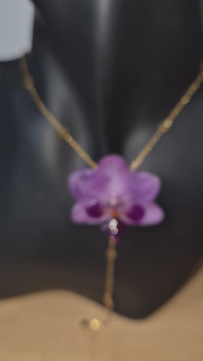 Colgante orquidea