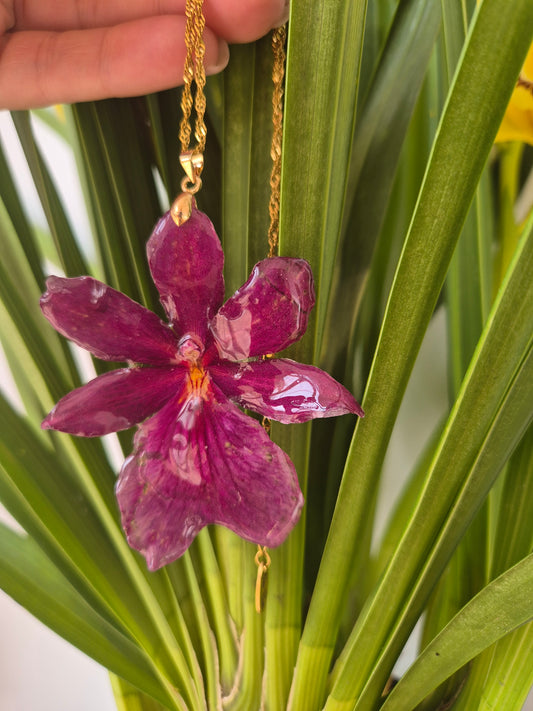 Colgante Orquídea Cambria Burdeos