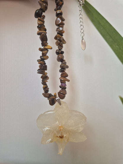 Colgante orquídea  Phalaenopsis