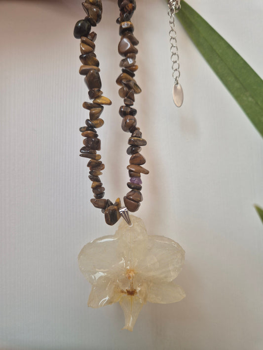 Colgante orquídea  Phalaenopsis