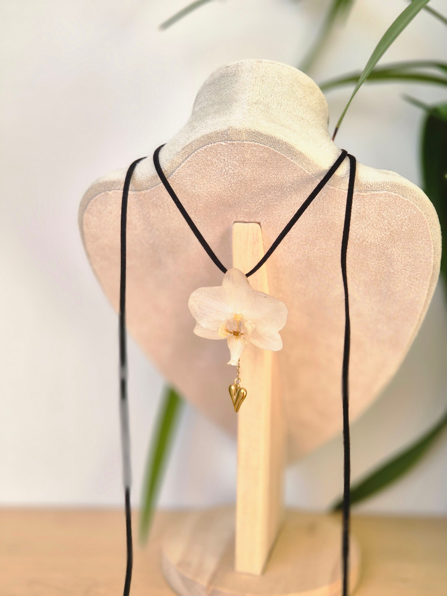 Colgante regulable de orquídea Phalaenopsis