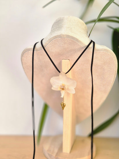 Colgante regulable de orquídea Phalaenopsis